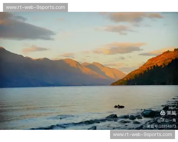 太平洋双雄：日本与新西兰，一场跨越山海的奇妙邂逅